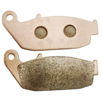 FA762 TVS APACHE RTR 160 180 200 / SYM VF 125 NEO VF185 Spare Parts Sintered Ceramic Motorcycle Brake Pad 2021-2024