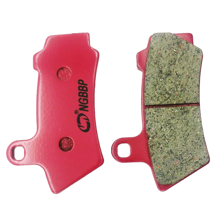 Motorcycle Parts BMW R18 1800 cc 2020-2022 Front Racing motorcycle Brake Pad FA748 